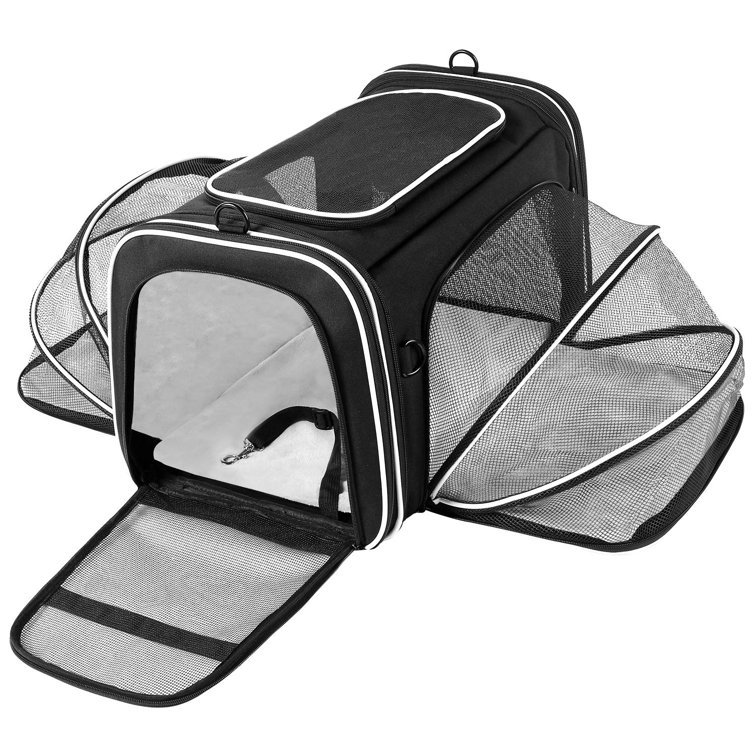3 cat carrier new arrivals